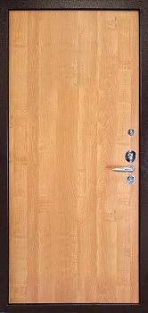 Дверь эконом класса ЭК-698